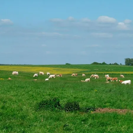 Mecklenburgische Seenplatte * Nossentiner Huette